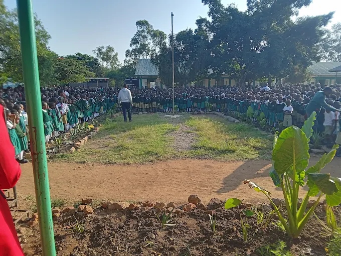 School photo